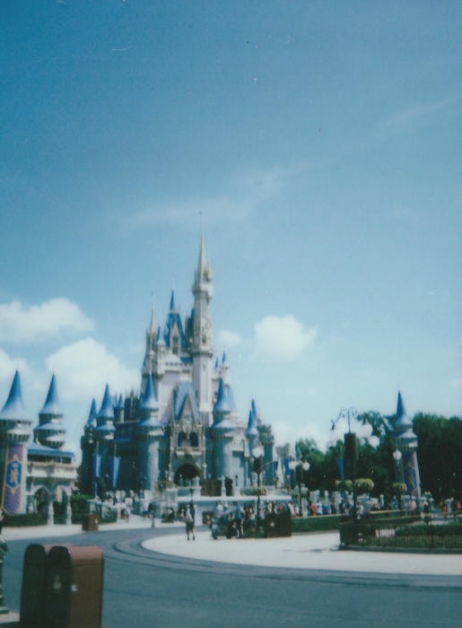 instant picture from my florida trip